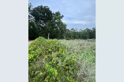 Tbd N Fox Lake Lane, Detroit Lakes, MN 56501 - Photo 5