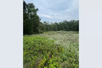 Tbd N Fox Lake Lane, Detroit Lakes, MN 56501 - Photo 9