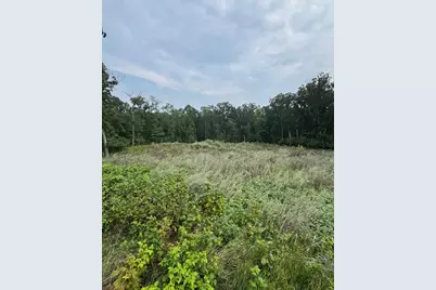 Tbd N Fox Lake Lane, Detroit Lakes, MN 56501 - Photo 7