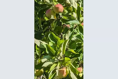 56307 Loon Avenue, McGregor, MN 55760 - Photo 29