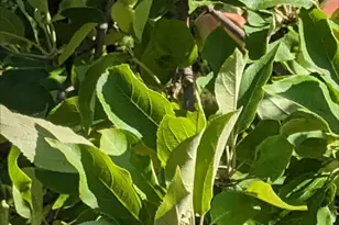 56307 Loon Ave, McGregor, MN 55760 - Photo 29