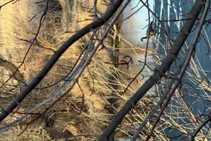 1005 12th St SE, Waseca, MN 56093 - Photo 5