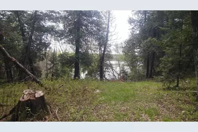 4512 Serenity Point Road, Tower, MN 55790 - Photo 5