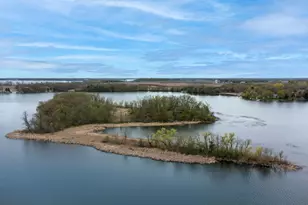 67005 180th St, Darwin, MN 55324 - Photo 11