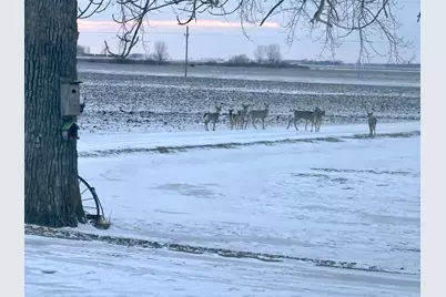 15304 County Road 11, Herman, MN 56248 - Photo 65