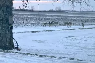 15304 County Rd 11, Herman, MN 56248 - Photo 65