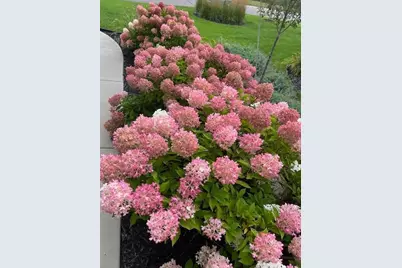 17031 Kerrick Court, Lakeville, MN 55044 - Photo 55