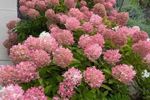 17031 Kerrick Ct, Lakeville, MN 55044 - Photo 55