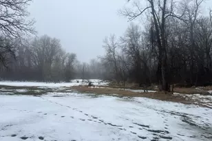 21701 575th Ave, Litchfield, MN 55355 - Photo 37