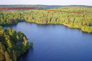 8481 Wakemup Narrows, Cook, MN 55771 - Photo 3