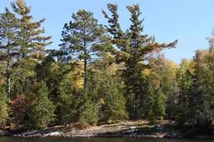 8481 Wakemup Narrows, Cook, MN 55771 - Photo 9