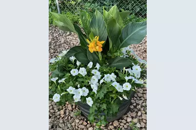 9717 Toledo Road, Bloomington, MN 55437 - Photo 3