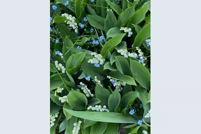 9717 Toledo Road, Bloomington, MN 55437 - Photo 7