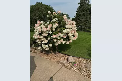 9717 Toledo Road, Bloomington, MN 55437 - Photo 5