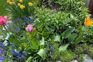 2658 Shadow Ln, Chaska, MN 55318 - Photo 61