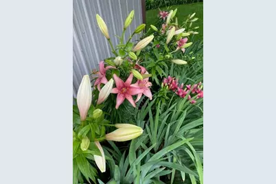 2658 Shadow Lane, Chaska, MN 55318 - Photo 63