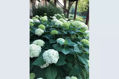 2658 Shadow Lane, Chaska, MN 55318 - Photo 53