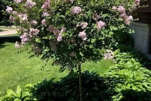 2658 Shadow Ln, Chaska, MN 55318 - Photo 57