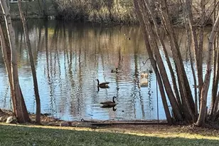 343 Sophia Ave E, Maplewood, MN 55117 - Photo 25