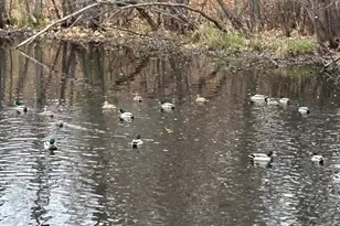 343 Sophia Ave E, Maplewood, MN 55117 - Photo 29