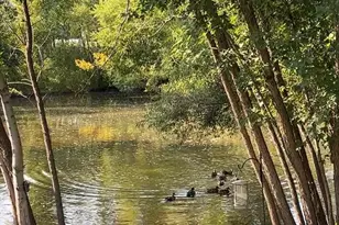 343 Sophia Ave E, Maplewood, MN 55117 - Photo 23