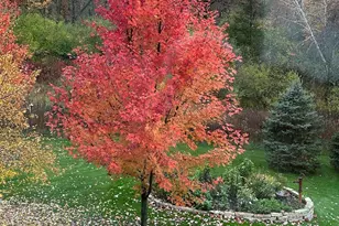 1430 25th St, Houlton, WI 54082 - Photo 55