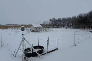 1825 210th St, Madison, MN 56256 - Photo 65