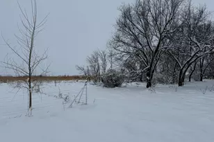 1825 210th St, Madison, MN 56256 - Photo 71