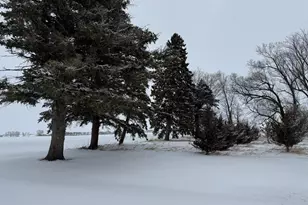 1825 210th St, Madison, MN 56256 - Photo 63