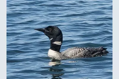 10458 Angler Drive, Grey Eagle, MN 56336 - Photo 17