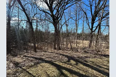 22841 Hwy 71 NE #22841/22843, Hines, MN 56647 - Photo 69