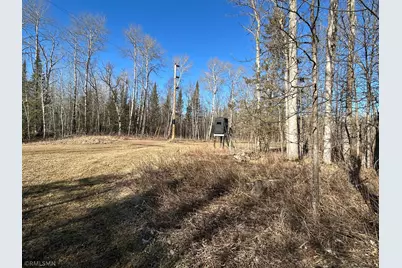 22841 Hwy 71 NE #22841/22843, Hines, MN 56647 - Photo 73