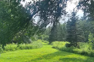 22841 Hwy 71 NE, Hines, MN 56647 - Photo 71