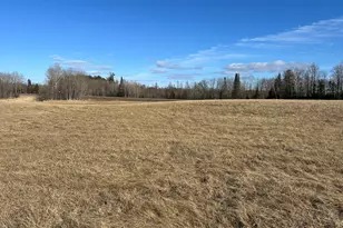 22841 Hwy 71 NE, Hines, MN 56647 - Photo 89
