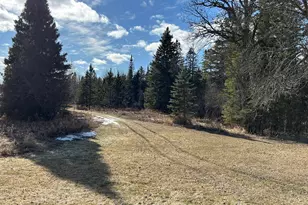 22841 Hwy 71 NE, Hines, MN 56647 - Photo 67