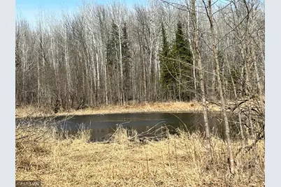 22841 Hwy 71 NE #22841/22843, Hines, MN 56647 - Photo 57