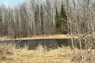 22841 Hwy 71 NE, Hines, MN 56647 - Photo 57