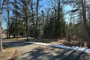 22841 Hwy 71 NE, Hines, MN 56647 - Photo 115