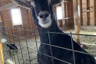 22841 Hwy 71 NE, Hines, MN 56647 - Photo 11