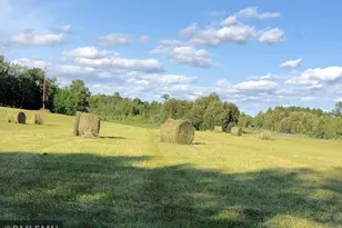 22841 Hwy 71 NE, Hines, MN 56647 - Photo 13