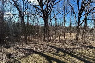 22841 Hwy 71 NE, Hines, MN 56647 - Photo 77