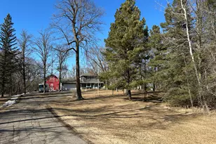 22841 Hwy 71 NE, Hines, MN 56647 - Photo 63