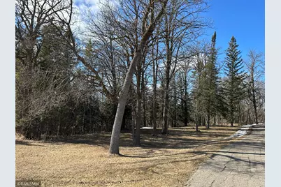 22841 Hwy 71 NE #22841/22843, Hines, MN 56647 - Photo 61