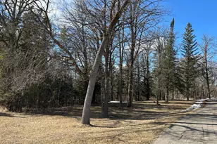 22841 Hwy 71 NE, Hines, MN 56647 - Photo 61