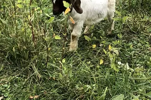 22841 Hwy 71 NE, Hines, MN 56647 - Photo 111