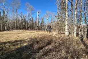 22841 Hwy 71 NE, Hines, MN 56647 - Photo 83