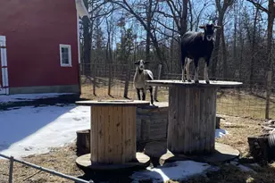 22841 Hwy 71 NE, Hines, MN 56647 - Photo 119