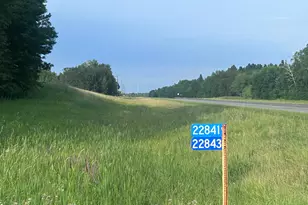 22841 Hwy 71 NE, Hines, MN 56647 - Photo 73