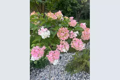 112 Rustle Road, Jordan, MN 55352 - Photo 35