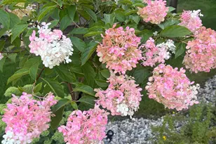 112 Rustle Rd, Jordan, MN 55352 - Photo 35